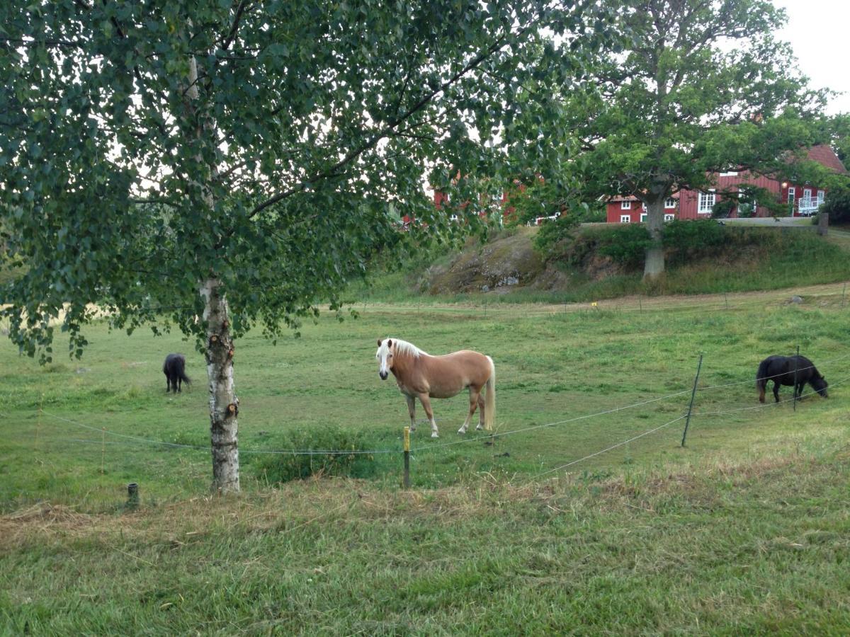 Yxningens Holiday Homes, Cottages And Camping Gusum Екстериор снимка